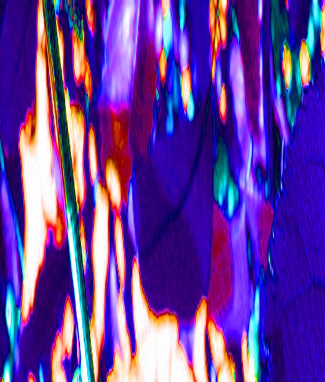 Who Could Say © Catherine Rutgers 2015