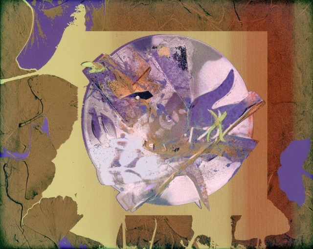 Yellow-Green Crosses Violet © Catherine Rutgers 2015