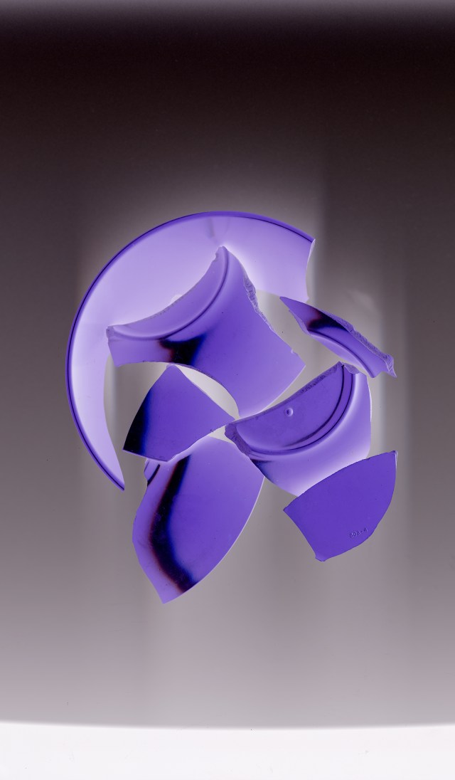 Exquisite Reassemblage © Catherine Rutgers 2015