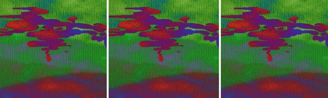 Reach Up and Stretch Out © Catherine Rutgers 2015