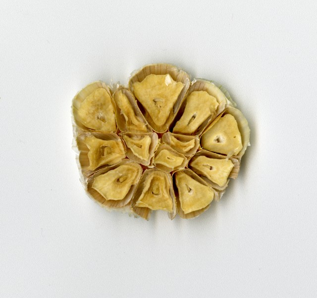 Inside © Catherine Rutgers 2015