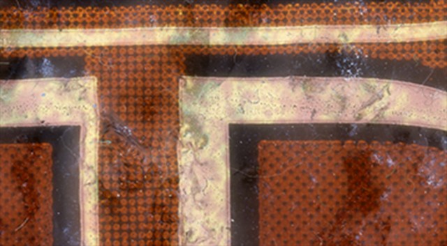 Skip Trace © Catherine Rutgers 2015