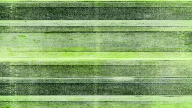 Watched the Stars © Catherine Rutgers 2015