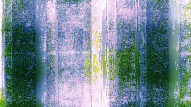 Watched the Stars 0XX © Catherine Rutgers 2015