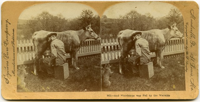 And Nicodemus Was Fed by the Wayside 1899