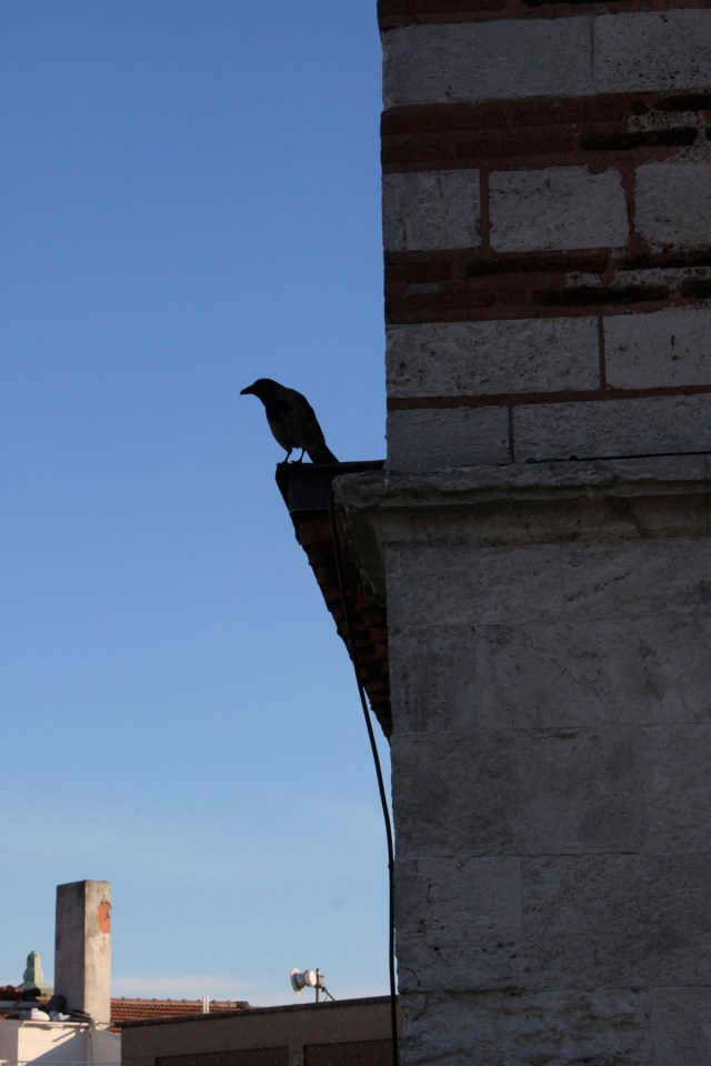 Samm Cohen 12 Istanbul © 2016