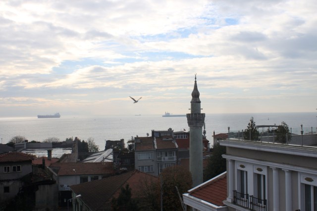 Samm Cohen 15 Istanbul © 2016