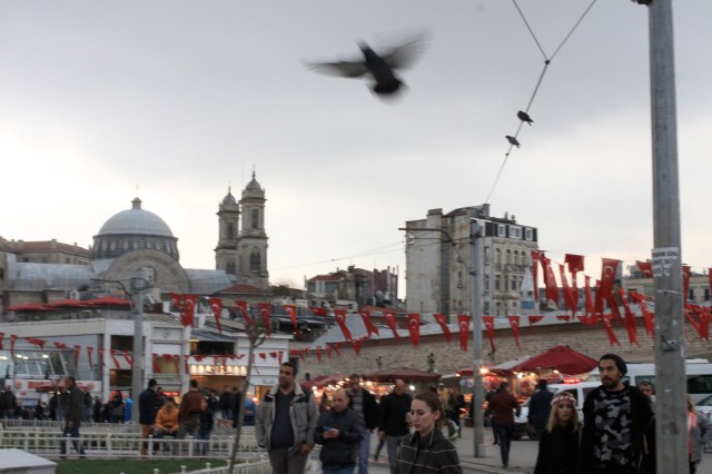 Samm Cohen 20 Istanbul © 2016