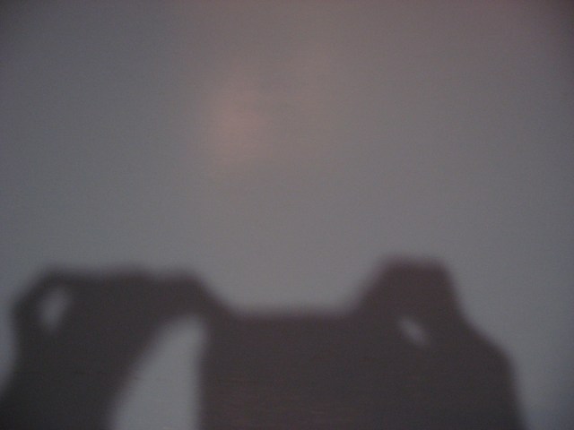 Shadow 3399 © Cat Rutgers 2016