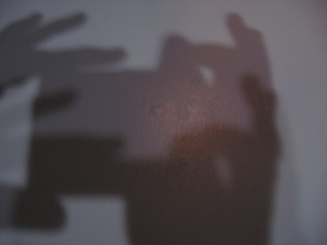 Shadow 3403 © Cat Rutgers 2016