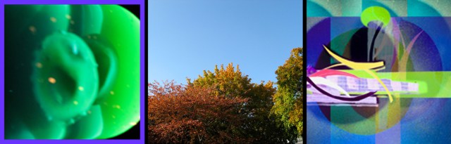 05 Icons © Catherine Rutgers 2016