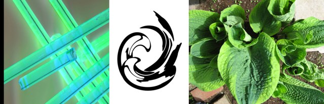 07 Icons © Catherine Rutgers 2016