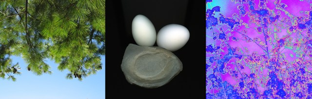 08 Icons © Catherine Rutgers 2016