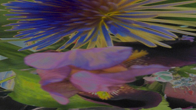 Imagination and Eternal Sleep © Catherine Rutgers 2017