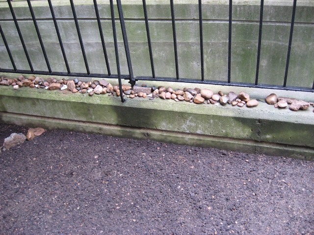 Fruits of the Digging © Catherine Rutgers 2017