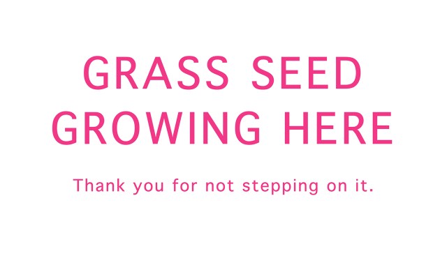 The Sign © Catherine Rutgers 2017