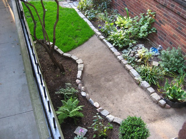 Alive © Catherine Rutgers 2017