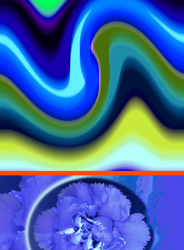 Fresh Start © Catherine Rutgers 2019