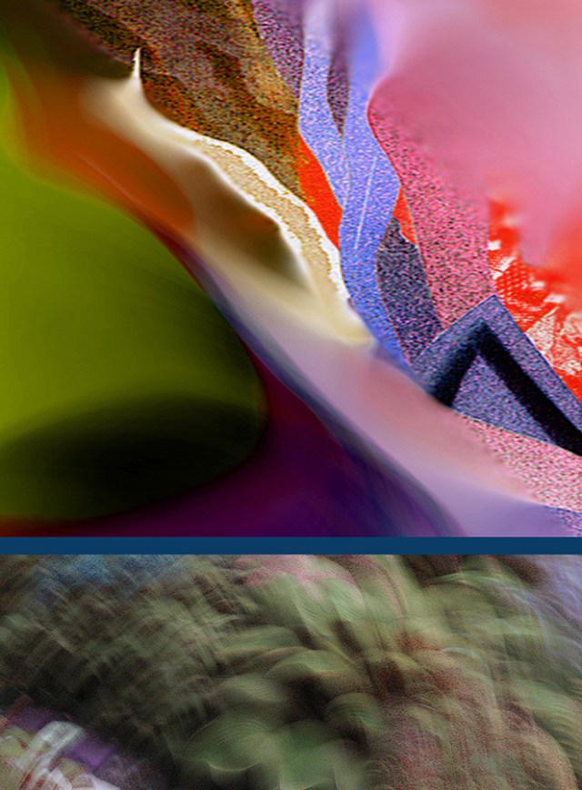 Savory Plush © Catherine Rutgers 2019