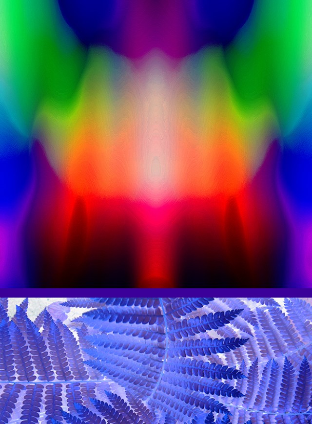 Indigo Bliss © Catherine Rutgers 2019