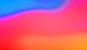 Experiment This © Catherine Rutgers 2020