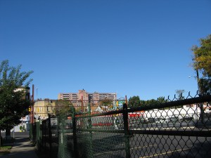 IMG 2119 Corner Sky of Blue © Catherine Rutgers 2020