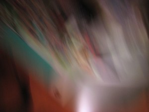 Little Wing © Catherine Rutgers 2020