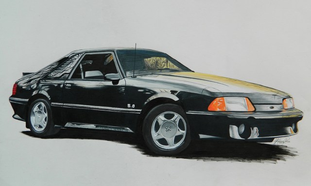 Sunset Foxbody © Karolina C. Polak 2020