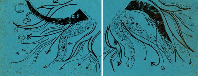 Glad 92 002 © Catherine Rutgers 2020