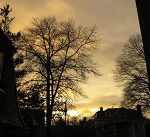 Gold As Love © Catherine Rutgers 2020