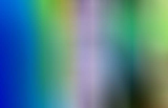 Spring Arrives © Catherine Rutgers 2020