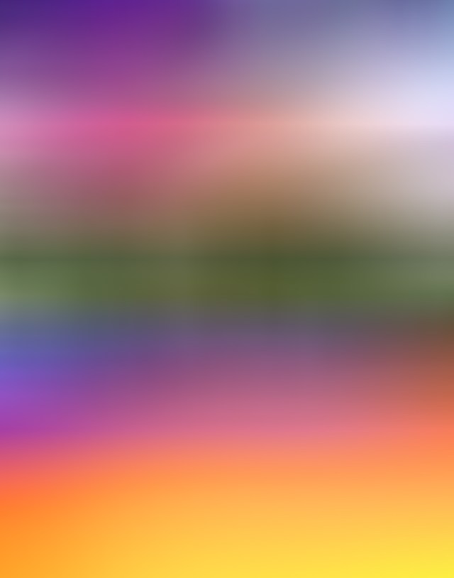 Freshly Swept Sunrise © Catherine Rutgers 2020