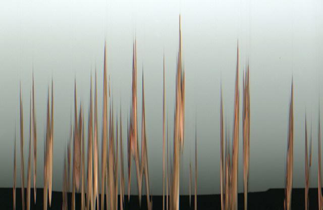 True Wave © Catherine Rutgers 2020