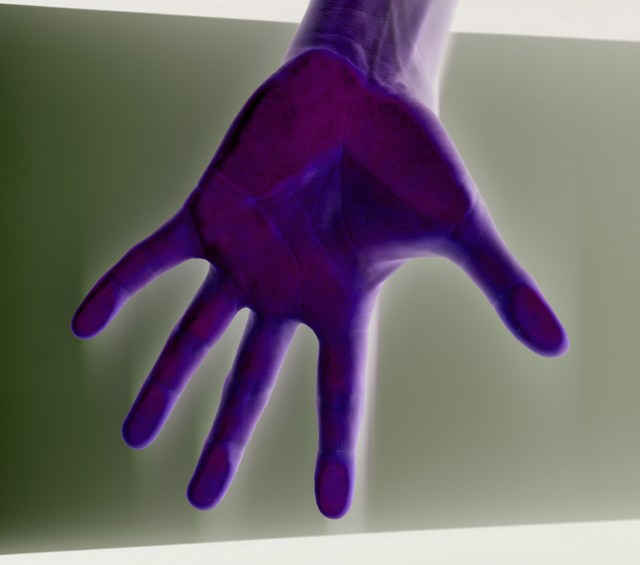 Royal Flush © Catherine Rutgers 2020