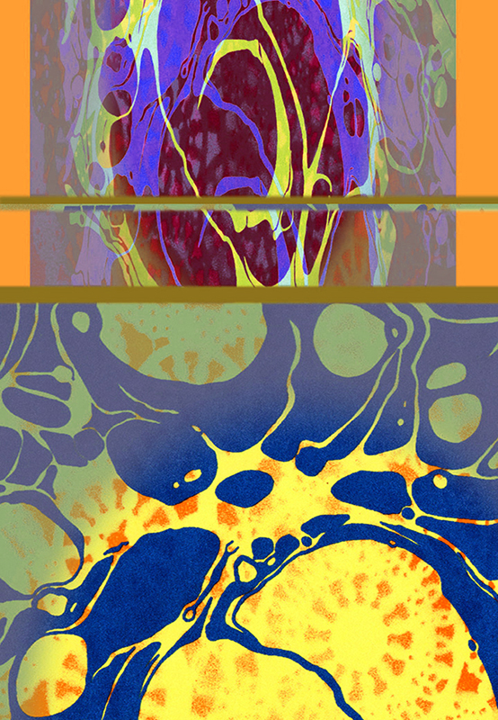 Organic Lace © Catherine Rutgers 2020