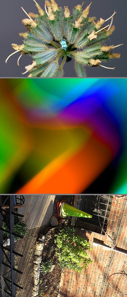 Pixie Wave © Cat Rutgers 2020