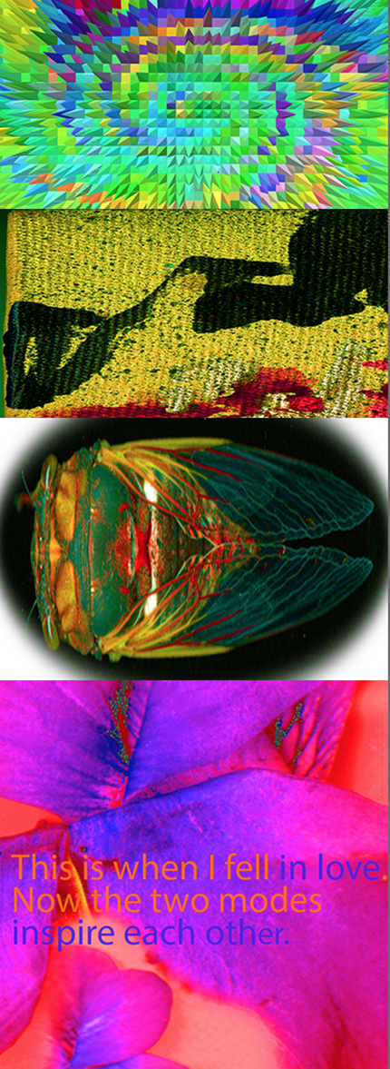 Cicada Love © Cat Rutgers 2020