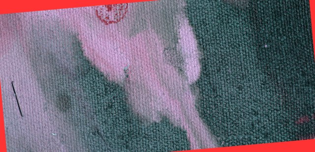 July Gets an Interlude © Catherine Rutgers 2021