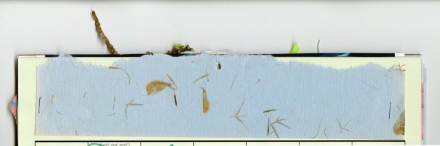 Simply August © Catherine Rutgers 2021