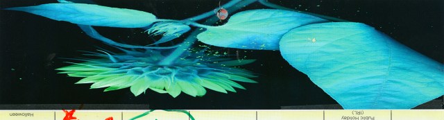 October Unfurls Her Wings © Catherine Rutgers 2021