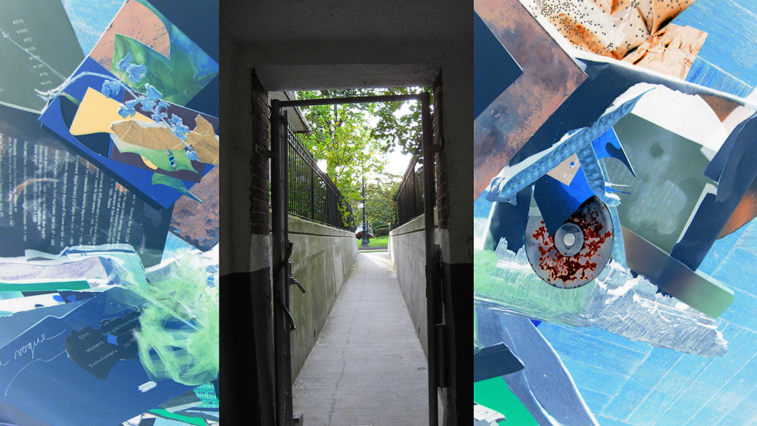 Alive in the Physical World copyright Catherine Rutgers 2024